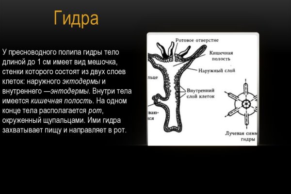 Действующая ссылка на кракен