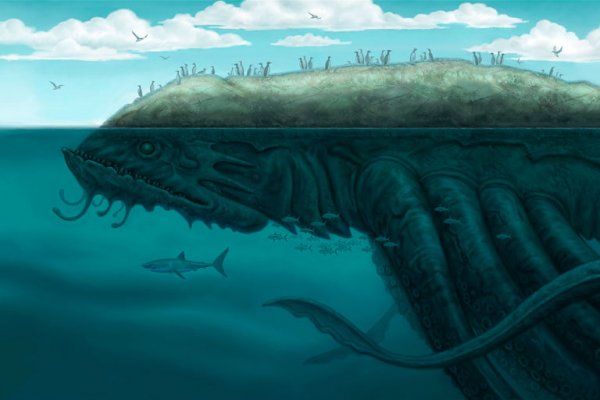 Kraken 6 at