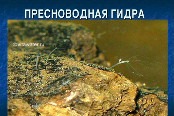 Кракен наркоторговля