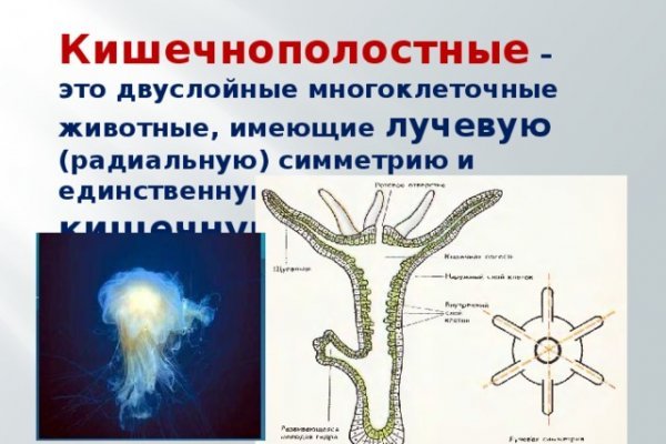 Ссылки кракен телеграф