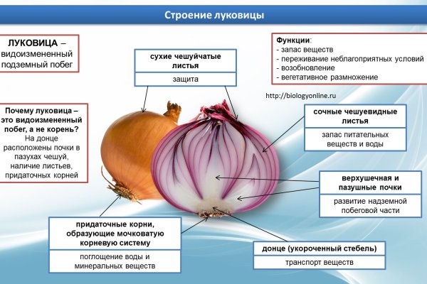 Кракен шоп интернет